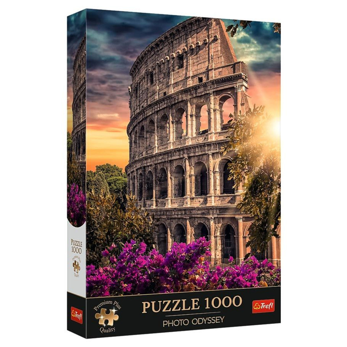 Puzzle: Colosseum Amphitheatre 1000 Piece (Premium Plus)
