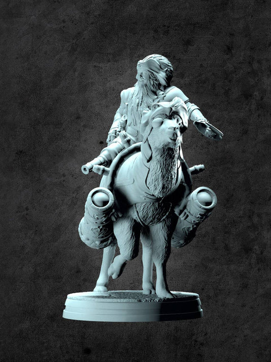 Wesley and Salvador (Pirate and Llama) Miniature for Tabletop RPGs