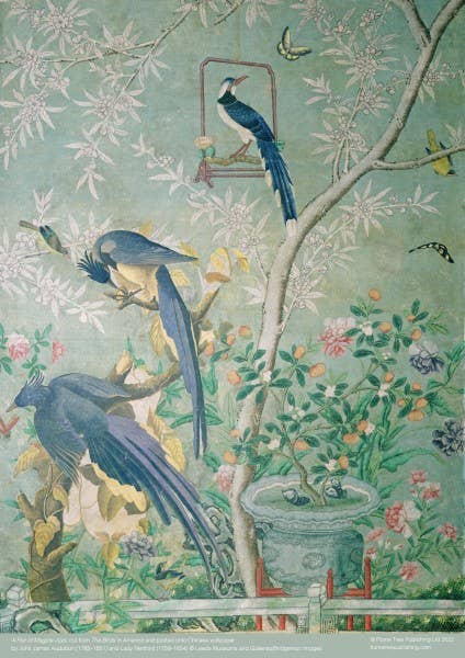 Audubon: A Pair Of Magpie Jays  500 Piece Puzzle
